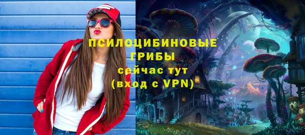 mdpv Карпинск