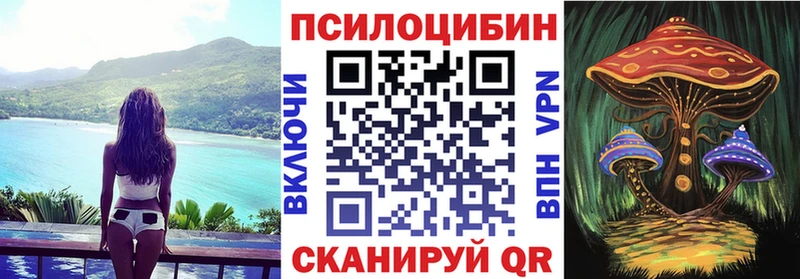 Купить закладки  Кудымкар  Псилоцибиновые грибы мицелий 